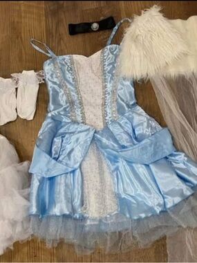 Women’s Princess/Cinderella Costume Dress